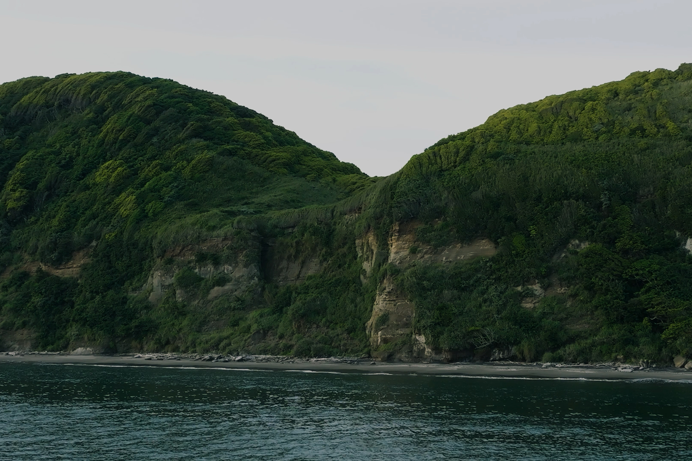 Landscape First